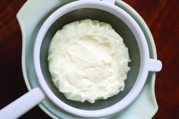 yogurt-filter